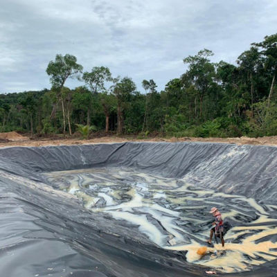 Élevage de crevettes de Singapour Géomembrane HDPE imperméable à l'eau de 0,3 mm avec inspection sur place
