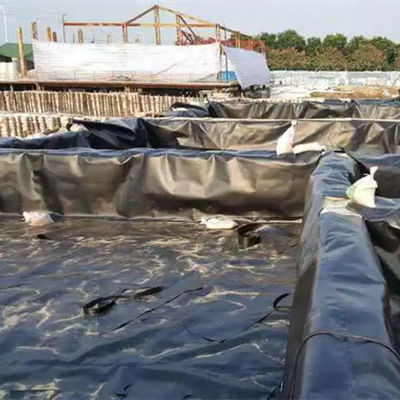 Géomembrane en PEHD imperméable pour jardins sur toits ou étangs de crevettes Durable et durable