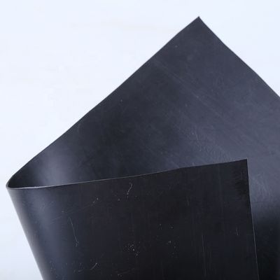Capacité de solution du projet 100% HDPE pour une piscine à géomembrane pour une élevage de poissons en douceur