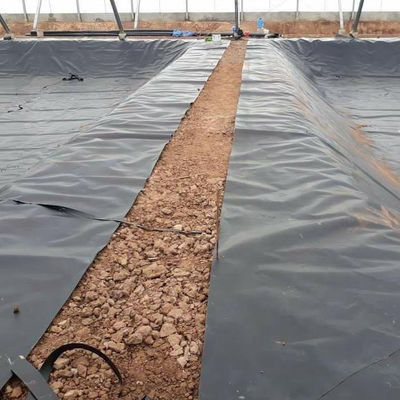 Géomembrane en PEHD imperméable à l'eau pour revêtement de barrage de réservoir de lac artificiel d'épaisseur de 1 mm à 2 mm