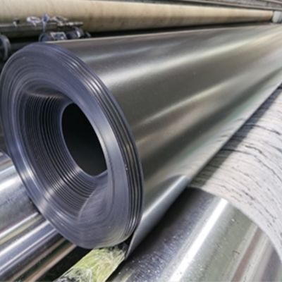 Liner pour étang de poisson à double géomembrane en PEHD lisse 0,3 mm 0,8 mm pour les besoins en aquaculture