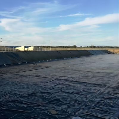 Capacité de la solution du projet Linier d'étang de poisson en HDPE moderne de 1,0 mm pour l'imperméabilisation des toits