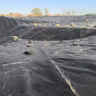 Rouleau de géomembrane en HDPE blanc brillant de 1,5 mm pour piscine de piscine de pisciculture