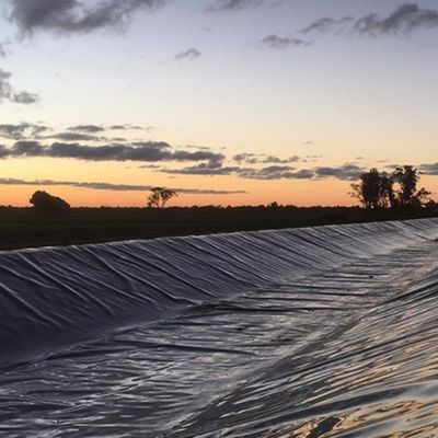 1.5mm HDPE Geomembrane Fish Pond Liner pour les sites de décharge directement auprès des fabricants