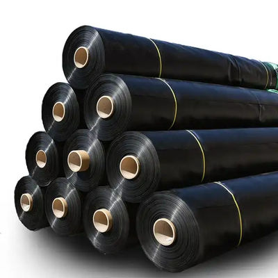 2 mm de revêtement d'étang de poisson HDPE pour les sites d'enfouissement