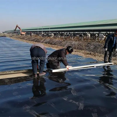 Polypropylène Liner HDPE Géomembrane pour la ferme de crevettes de poissons étang plastique étanche