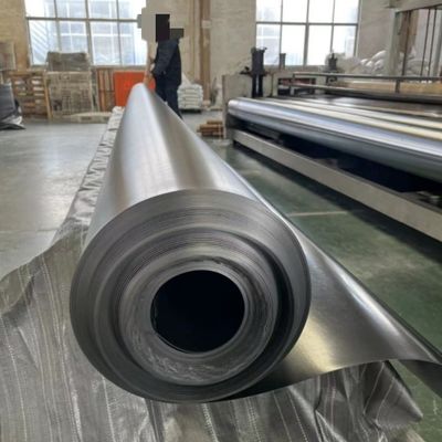 Vente directe HDPE Géomembrane lisse 0,3 mm 0,5 mm Longueur 50-100 m Épaisseur 0,2 mm-2,8 mm