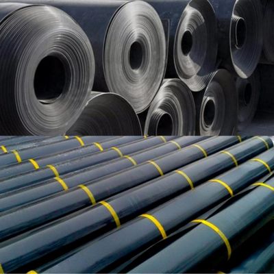 Vente directe HDPE Géomembrane lisse 0,3 mm 0,5 mm Longueur 50-100 m Épaisseur 0,2 mm-2,8 mm