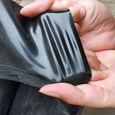 Vente directe HDPE Géomembrane lisse 0,3 mm 0,5 mm Longueur 50-100 m Épaisseur 0,2 mm-2,8 mm