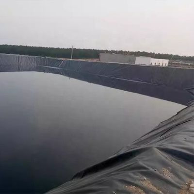 Style de conception moderne double géomembrane lisse étang de poisson liner 1 mm pour le lac artificiel