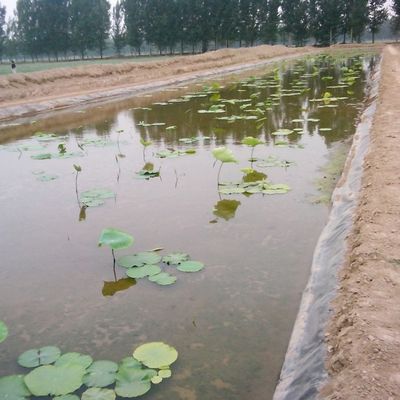 0Épaisseur de.3 mm-2.8 mm Géomembrane préfabriquée pour revêtement artificiel de lacs et étangs de poissons
