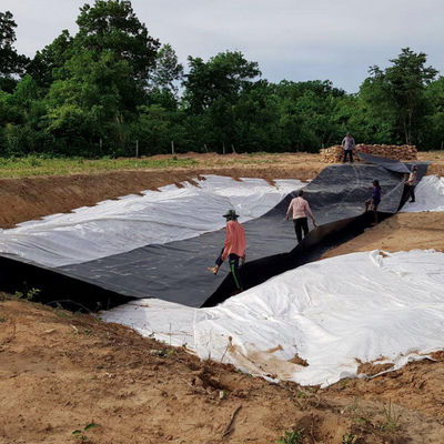 EPDM EVA HDPE étang liner feuille en plastique pour poisson crevettes piscine d'élevage étang barrage