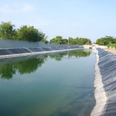 1m-8m Largeur HDPE Geomembrane Liner pour la piscine de la ferme de poissons capacité de solution de projet
