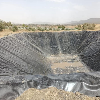 Membrane géomembrane en PEHD imperméable à l'eau pour les étangs de poissons Membrane résistante à la doublure pour la surface de la piscine
