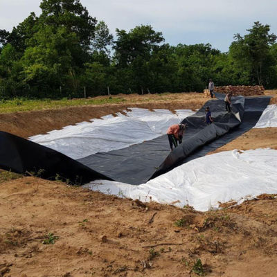 ASTM GRI-GM13 Géomembrane standard pour le revêtement de revêtement des décharges des réservoirs de lacs artificiels
