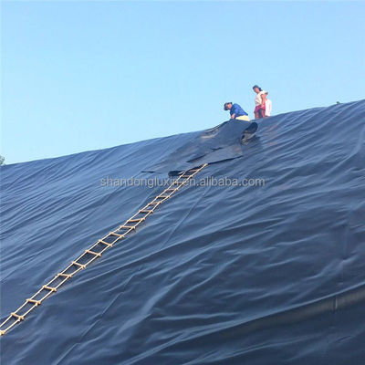 Géomembrane lisse préfabriquée Géomembrane texturée de 2 mm pour conception imperméable au HDPE