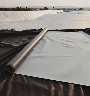 Géomembrane lisse préfabriquée Géomembrane texturée de 2 mm pour conception imperméable au HDPE