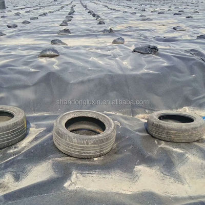 ASTM GRI-GM13 Standard HDPE Geomembrane lisse pour étang de poisson pour les réservoirs de stockage d'eau