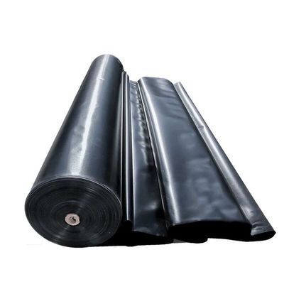 Conception moderne géomembrane double lisse en HDPE de 2 mm pour les digesteurs de biogaz double lisse