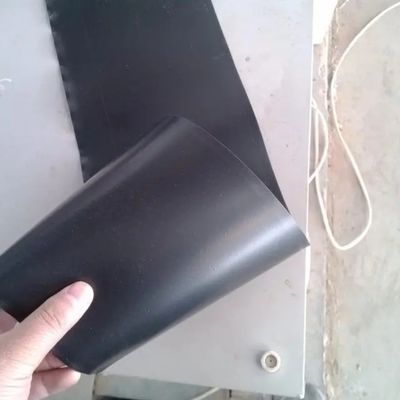 Conception moderne géomembrane double lisse en HDPE de 2 mm pour les digesteurs de biogaz double lisse
