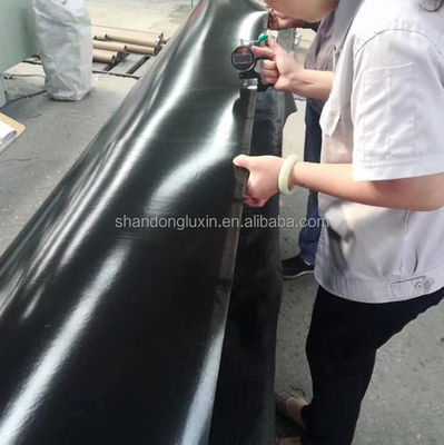 Géomembrane en polyéthylène noir extérieur pour les digesteurs de biogaz 2 mm HDPE