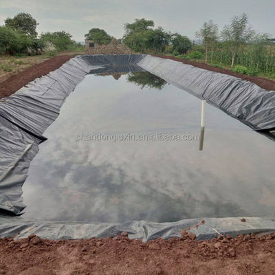 Liner pour étang de poisson en HDPE imperméable à l'eau 30 mil 60 mils Géomembrane noire pour les réservoirs d'eau