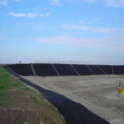 Liner pour étang de poisson en HDPE imperméable à l'eau 30 mil 60 mils Géomembrane noire pour les réservoirs d'eau