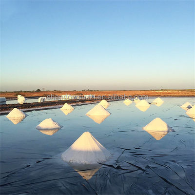 Liner pour étang de poisson en HDPE imperméable à l'eau 30 mil 60 mils Géomembrane noire pour les réservoirs d'eau