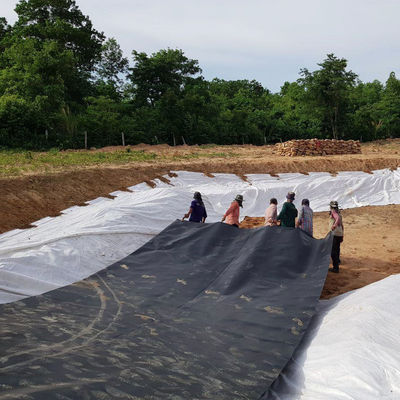 Double surface lisse 0,5 mm étang de la ferme piscicole revêtement avec géomembrane imperméable