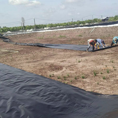 Largeur de 1 à 8 m, double doux, noir, en PEHD, pour étagère, piscine, élevage de crevettes