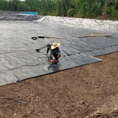 Largeur de 1 à 8 m, double doux, noir, en PEHD, pour étagère, piscine, élevage de crevettes