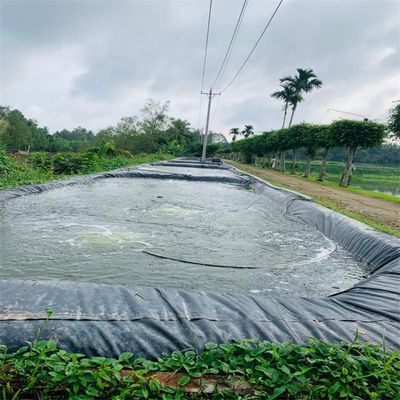 1.5 mm Géomembrane en HDPE noir lisse pour l'environnement extérieur