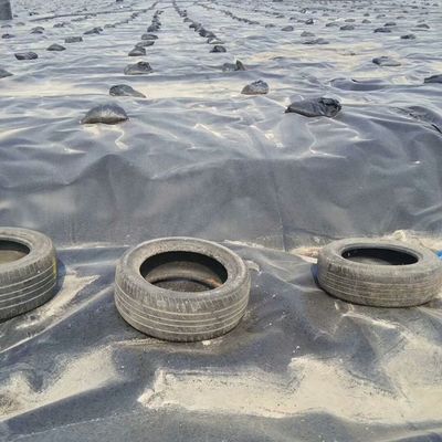 1.5 mm Géomembrane en HDPE noir lisse pour l'environnement extérieur
