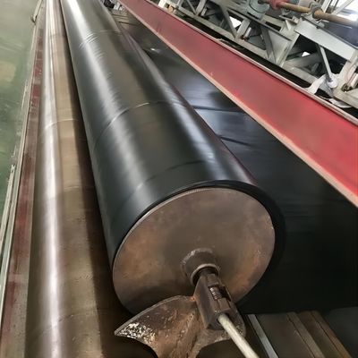 Matériau de géomembrane lisse HDPE EVA 1 mm 1,5 mm pour les jardins sur le toit Vente directe