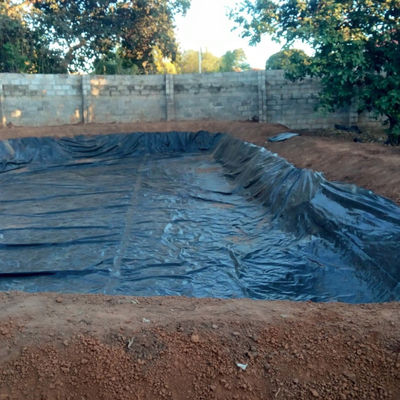 Geomembrane lisse en HDPE pour l'aquaculture Liner d'étang de poisson en 0,3 mm 0,5 mm 0,8 mm épaisseur