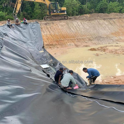 Géomembrane en HDPE à double surface lisse noire de 0,5 mm pour les étangs de poissons des lacs et des barrages routiers