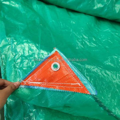 Taille standard Tissue en PE de bâche en plastique pour l'agriculture