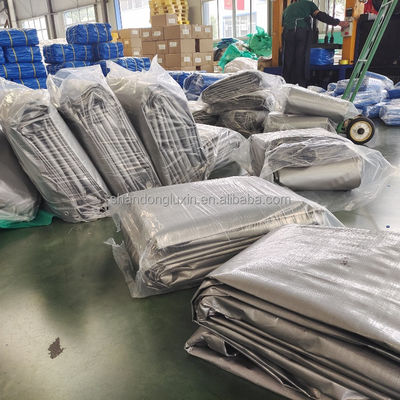 Fabriqué sur mesure double imperméable à l' eau Pe Tarpaulin lourd service Large toile en plastique pour l' extérieur