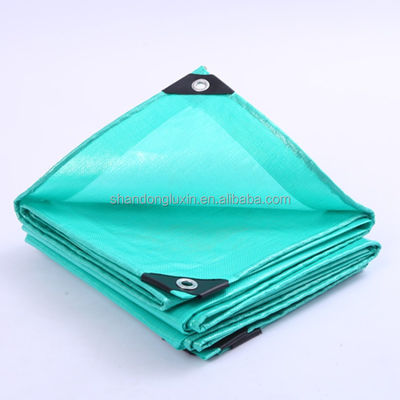 Tente en bâtonnet de polyéthylène de couleur verte largeur de 2 à 11 m pour la résistance à la poussière et à l'humidité