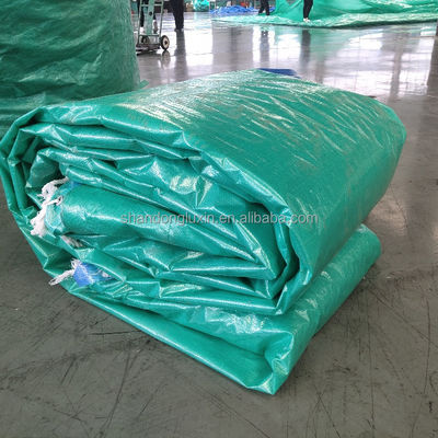 Feuille de tissu en plastique protégé contre les rayons UV pour l'agriculture/couverture industrielle de taille standard