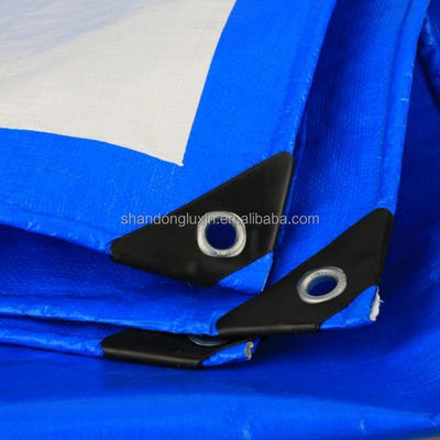 Étarpe PE de poids léger bleu-argenté avec densité d'œillets 6*6-16*16 sur le marché vietnamien