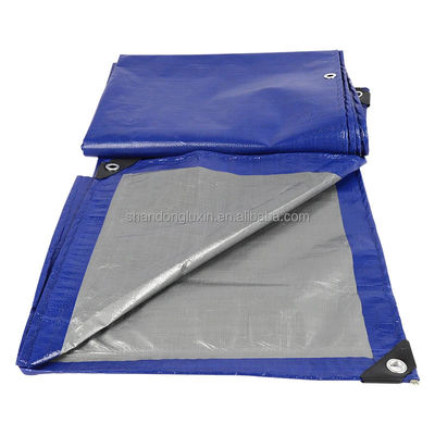 Étarpe PE de poids léger bleu-argenté avec densité d'œillets 6*6-16*16 sur le marché vietnamien