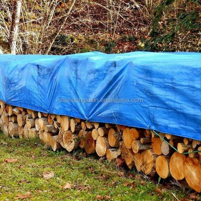 Étoffe en PE bleu pour tissage extérieur en PEHD et revêtement de toiture en LDPE