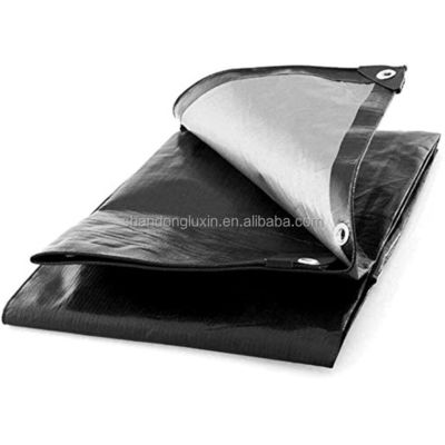 Couverture de chargement de camions en tôle de bâton imperméable à l'eau rouleaux avec revêtement PE sur mesure Gsm