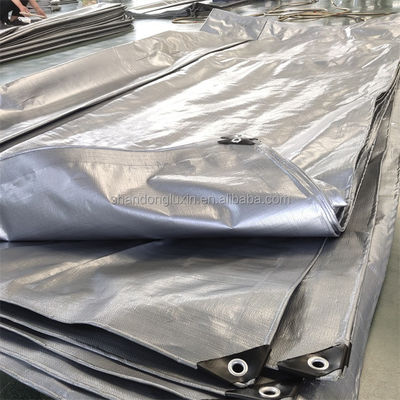 Résistant à l'eau à la bande de style PE Tarpaulin industriel polyvalent Résistant à l'humidité Résistant au soleil